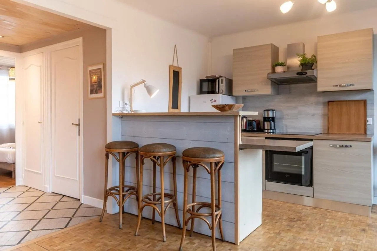 Petit Port Furnished Flat Apartment Annecy France